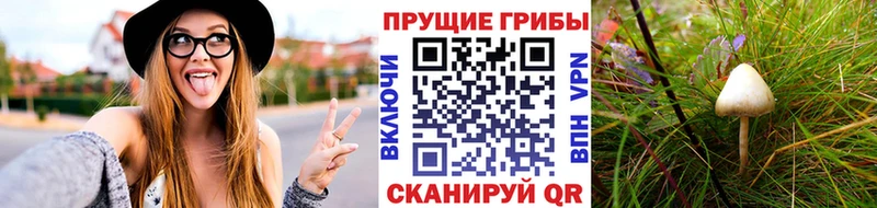 mega маркетплейс  Орлов  Галлюциногенные грибы прущие грибы 